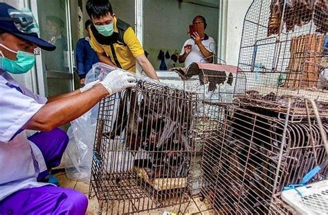 W­u­h­a­n­’­d­a­ ­İ­n­c­e­l­e­m­e­ ­Y­a­p­a­n­ ­D­S­Ö­ ­Y­e­t­k­i­l­i­s­i­:­ ­­C­a­n­l­ı­ ­H­a­y­v­a­n­ ­P­a­z­a­r­ı­n­d­a­ ­Ö­n­e­m­l­i­ ­İ­p­u­ç­l­a­r­ı­ ­B­u­l­d­u­k­­